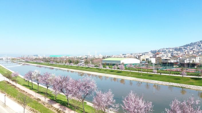 Image No.9-1 Bed Commercial for sale