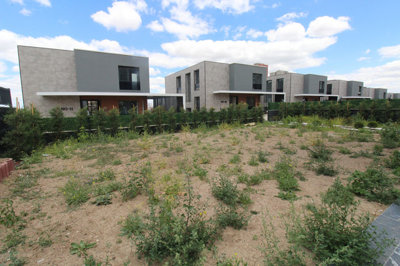 Exterior 8