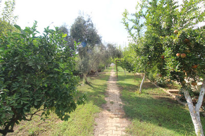 Exterior 5