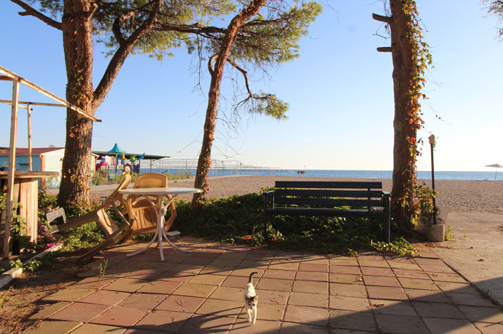 Image No.19-2 Bed House/Villa for sale