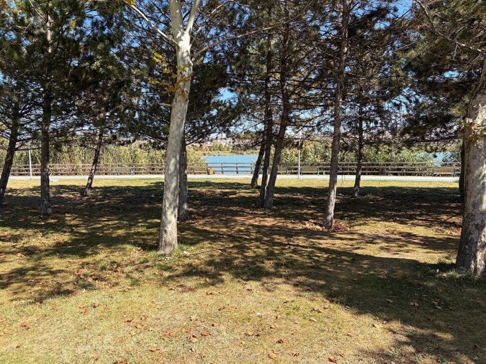 Image No.8-Land for sale