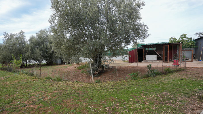 Image No.24-4 Bed House/Villa for sale