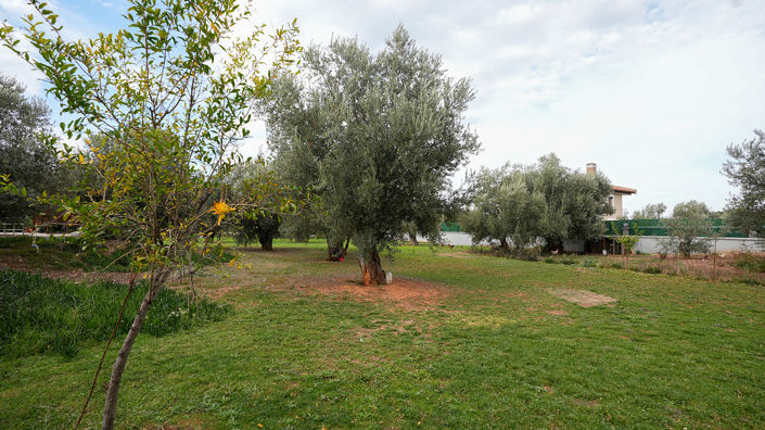 Image No.26-4 Bed House/Villa for sale