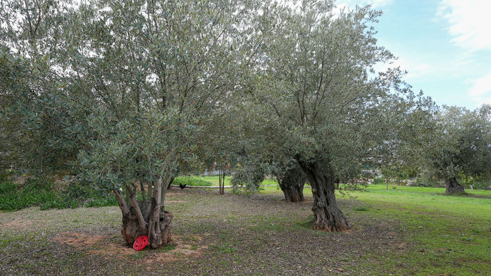 Image No.28-4 Bed House/Villa for sale