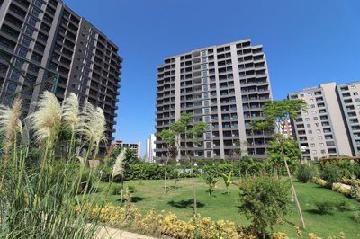 Exterior 8