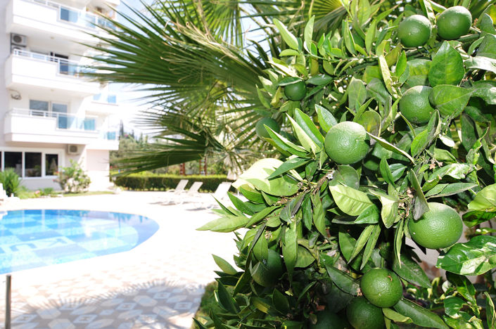 Image No.10-Appartement de 1 chambre à vendre à Mahmutlar