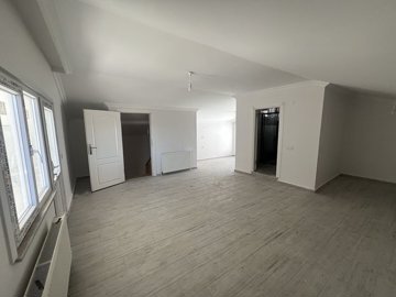 Interior 1