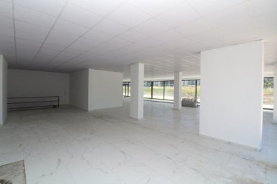 Interior 5