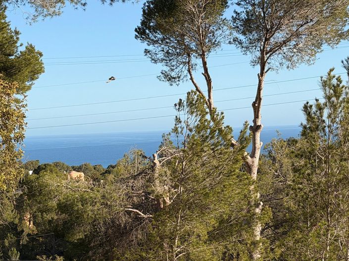 Image No.3-Terre à vendre à Altea