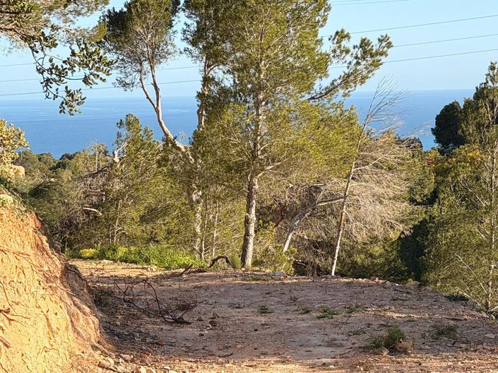 Image No.4-Terre à vendre à Altea