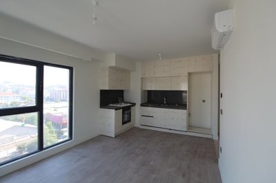 Interior 1