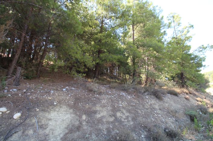 Image No.6-Land for sale