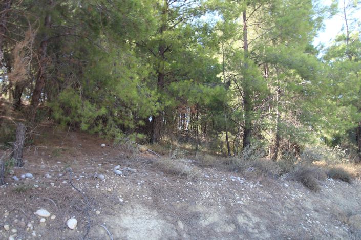 Image No.8-Land for sale