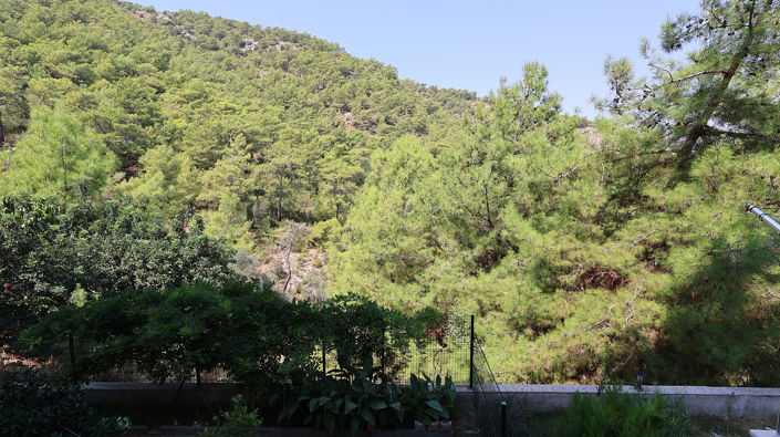 Image No.4-3 Bed Apartment for sale
