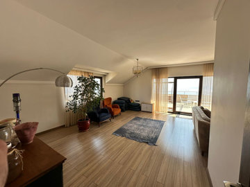 Interior 6