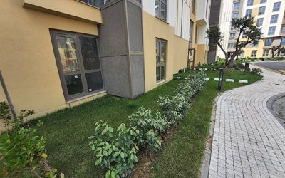 Exterior 7