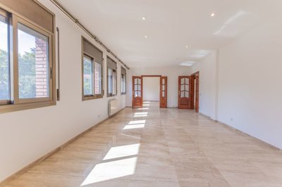 Interior 1
