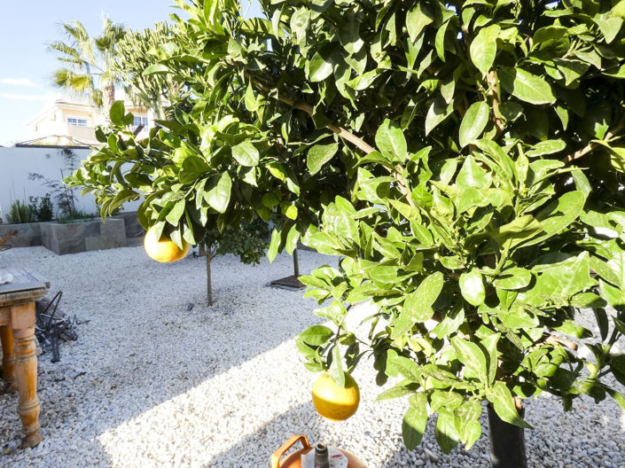 Image No.45-Villa de 5 chambres à vendre à Ciudad Quesada