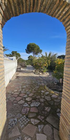 Image No.12-Villa de 4 chambres à vendre à Pinar de Campoverde