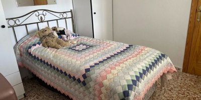 65454pinardecampoverdevilla6