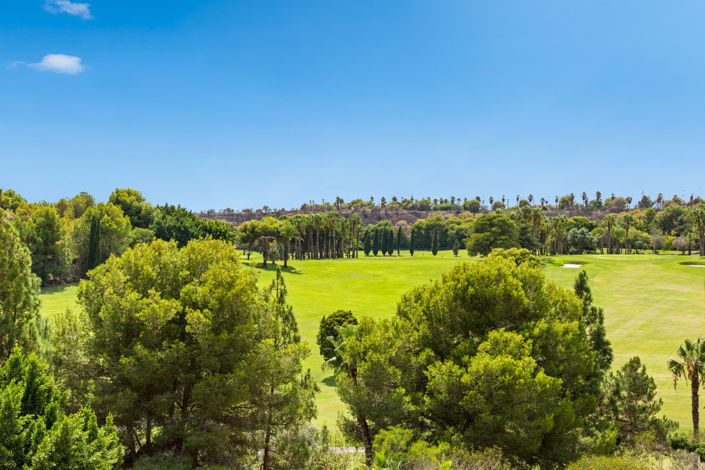 Image No.27-2 Bed Penthouse for sale