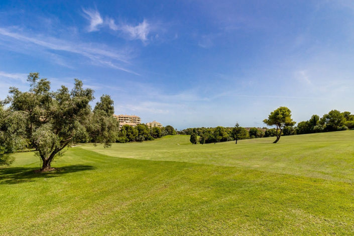 Image No.33-Penthouse de 2 chambres à vendre à Villamartin