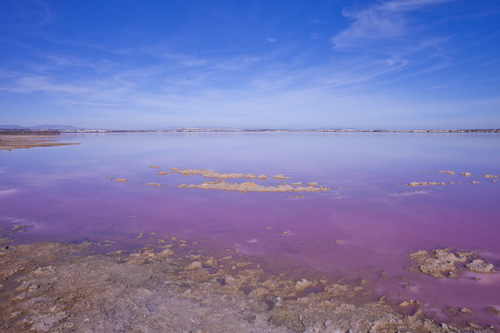 Image No.40-Villa de 2 chambres à vendre à Los Altos