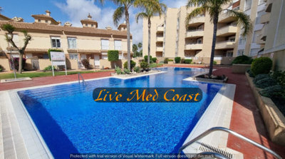 69089albatrosapartmentpoolview4