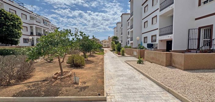 Image No.25-Appartement de 2 chambres à vendre à Punta Prima