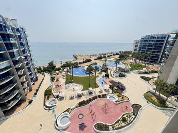14957img0628