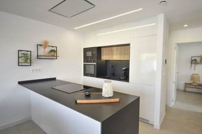 68385sanpedrowmodernvilla8