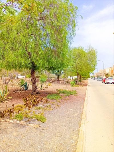 Image No.22-Penthouse de 2 chambres à vendre à Playa Flamenca