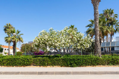 726287bff65c696c25048f3c065d083c2068a