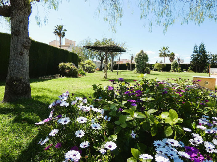 Image No.41-Villa de 2 chambres à vendre à Torrevieja