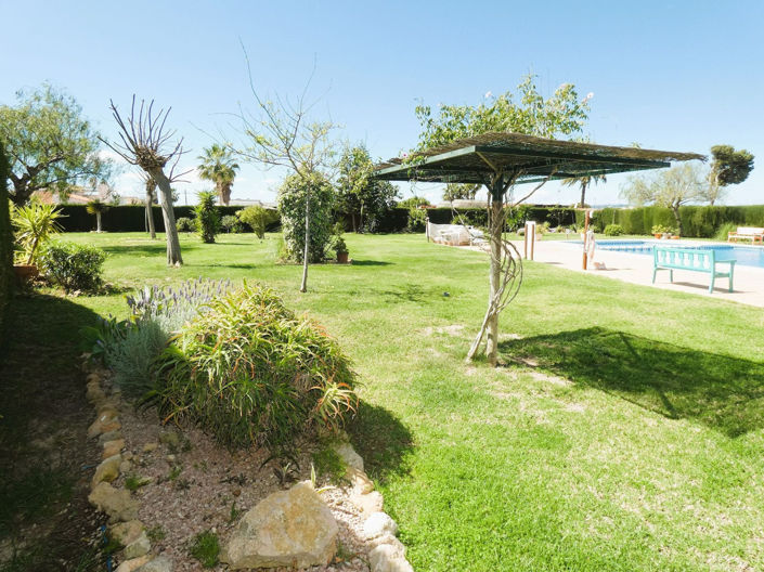 Image No.42-Villa de 2 chambres à vendre à Torrevieja