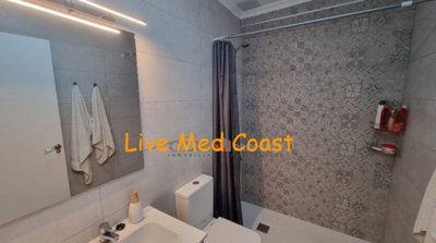 736051646sln13-835x467