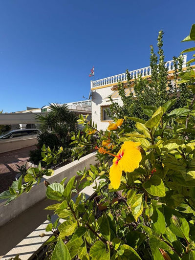 Image No.32-3 Bed Villa for sale