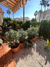 apartment-orihuela-costa-ls-0001-10