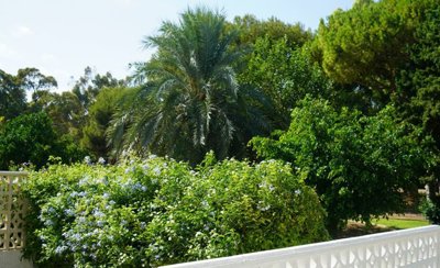 74304lazeniabeachsidetownhouse6