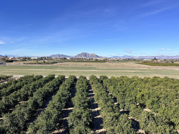 Image No.34-Penthouse de 2 chambres à vendre à Daya Nueva