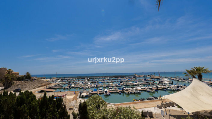 Image No.39-3 Bed Penthouse for sale