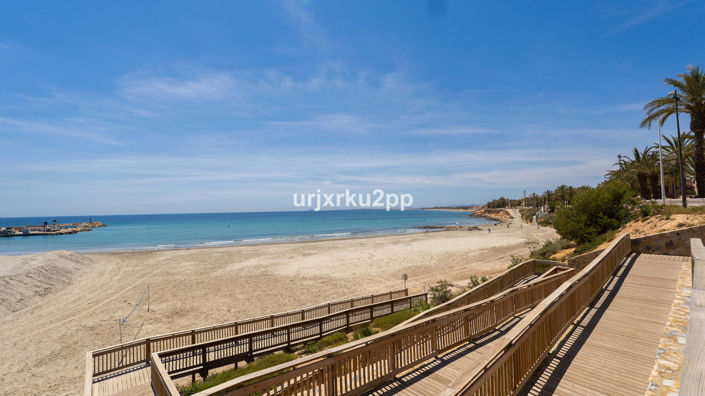 Image No.41-3 Bed Penthouse for sale