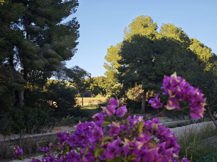 Image No.42-3 Bed Apartment for sale