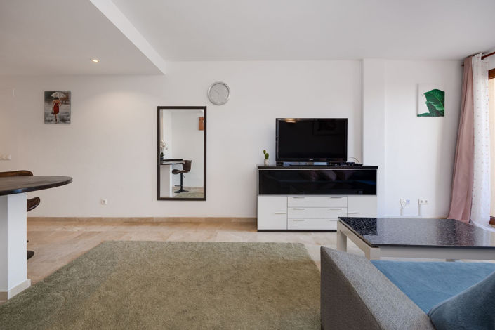 Image No.11-2 Bed Penthouse for sale