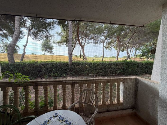 Image No.34-Appartement de 2 chambres à vendre à Villamartin