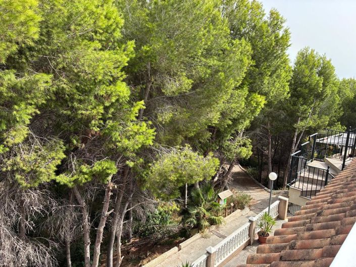 Image No.27-Appartement de 2 chambres à vendre à Algorfa