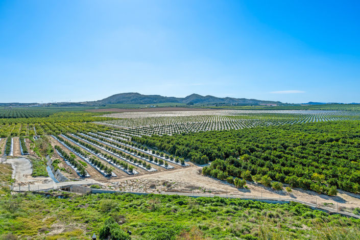 Image No.25-2 Bed Penthouse for sale