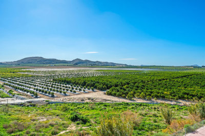 76538d69e1256cbc3926860ff0757fe996176