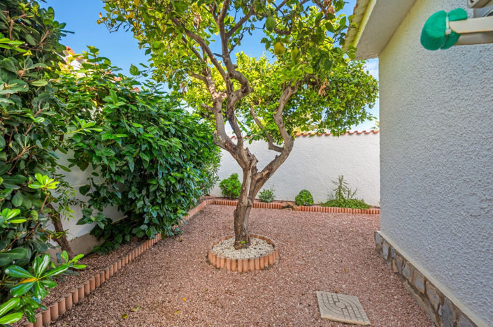 Image No.41-3 Bed Villa for sale