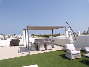 784031783338262lazenia10